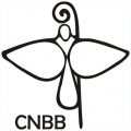 CNBB presta solidariedade às famílias dos envolvidos em tragédia na Colômbia